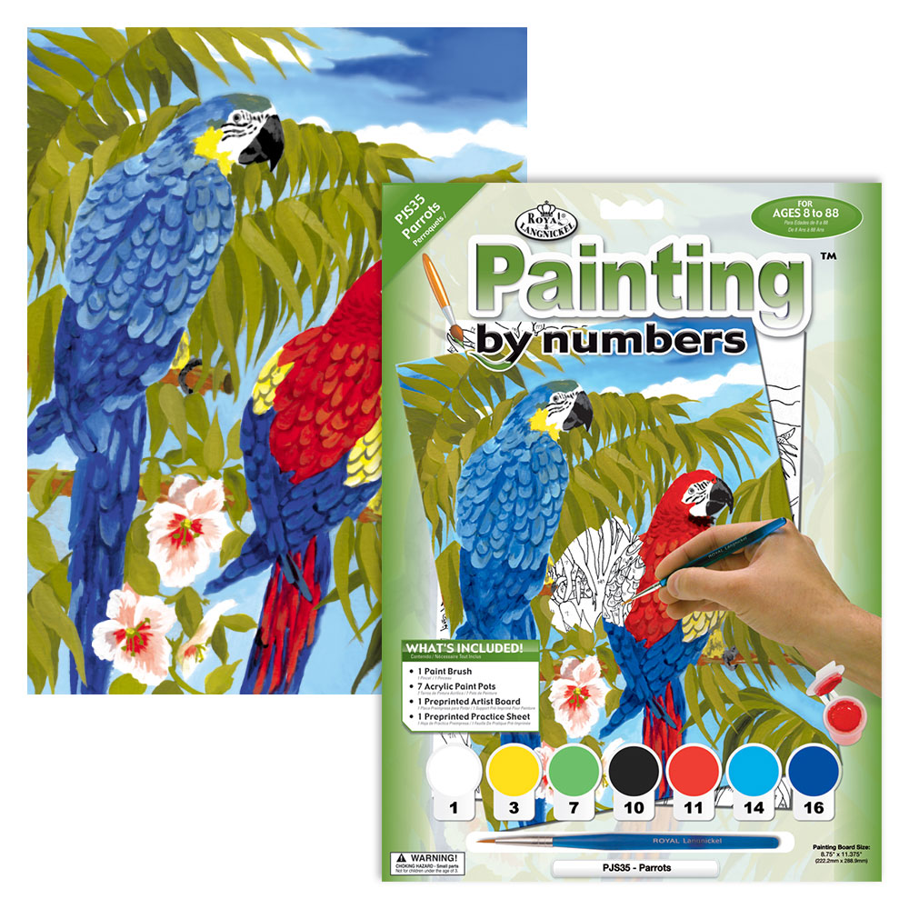 Painting By Numbers Parrots (PJS35-3T)