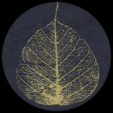 Paper Gold Bodhi - Midnight Blue **ND-SO**