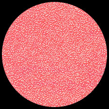 Paper Iridescent – Melon **ND-SO**