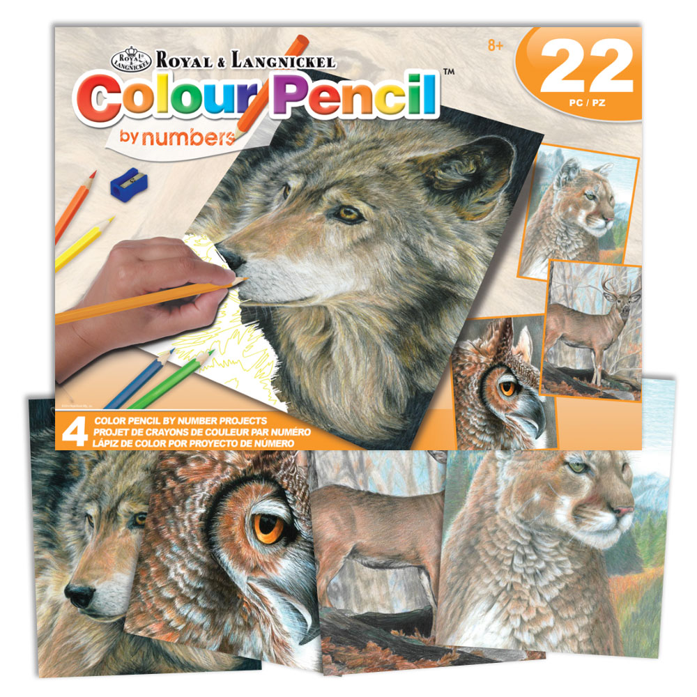 Royal & Langnickel Coloured Pencil by Numbers Wildlife Box Set