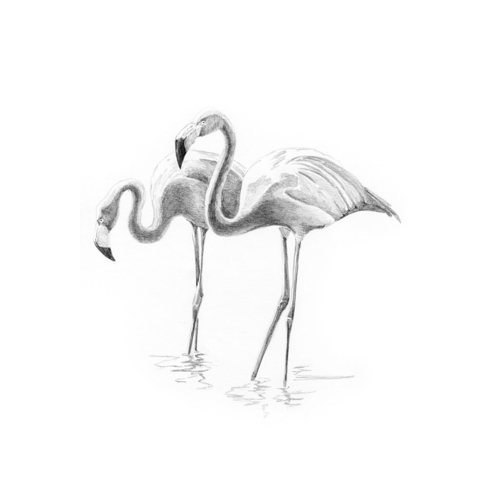 Royal & Langnickel Mini Sketching Made Easy Flamingos