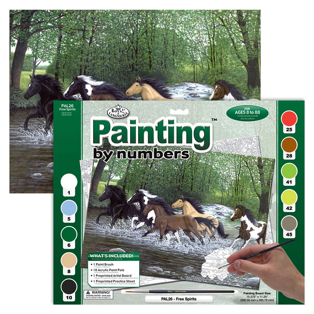 Royal & Langnickel Paint By Numbers Free Spirits
