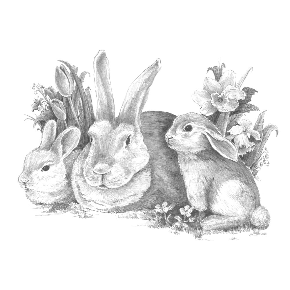 Royal & Langnickel Sketching Made Easy Bunnies