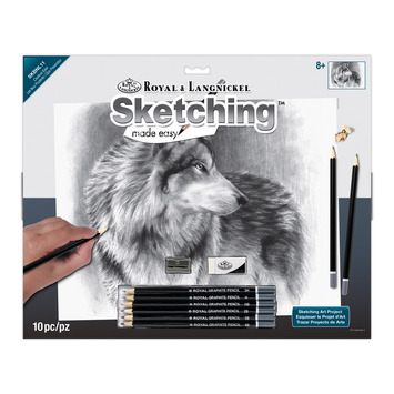 Royal & Langnickel Sketching Made Easy Cautious Eyes