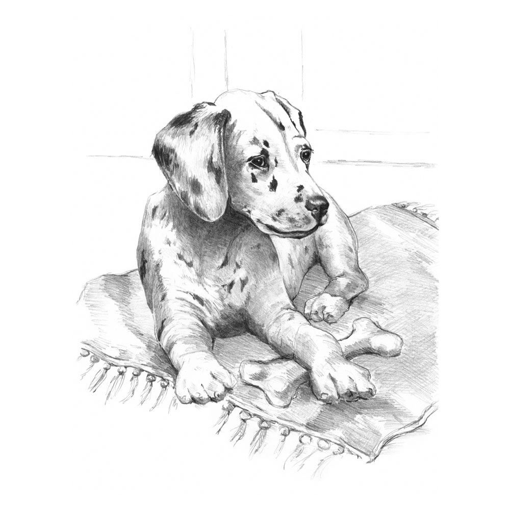 Royal & Langnickel Sketching Made Easy Dalmation Pup
