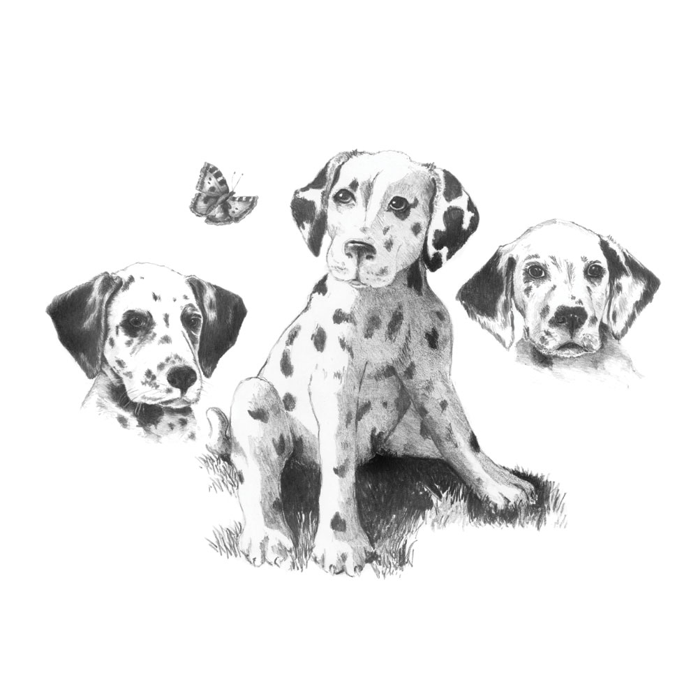 Royal & Langnickel Sketching Made Easy Dalmations