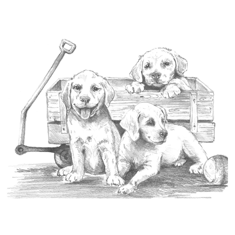 Royal & Langnickel Sketching Made Easy Puppies & Wagon
