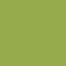 Sennelier Oil Pastel Grand Olive Green 046