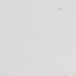 Spectrum Oil Pastels set of 12 White