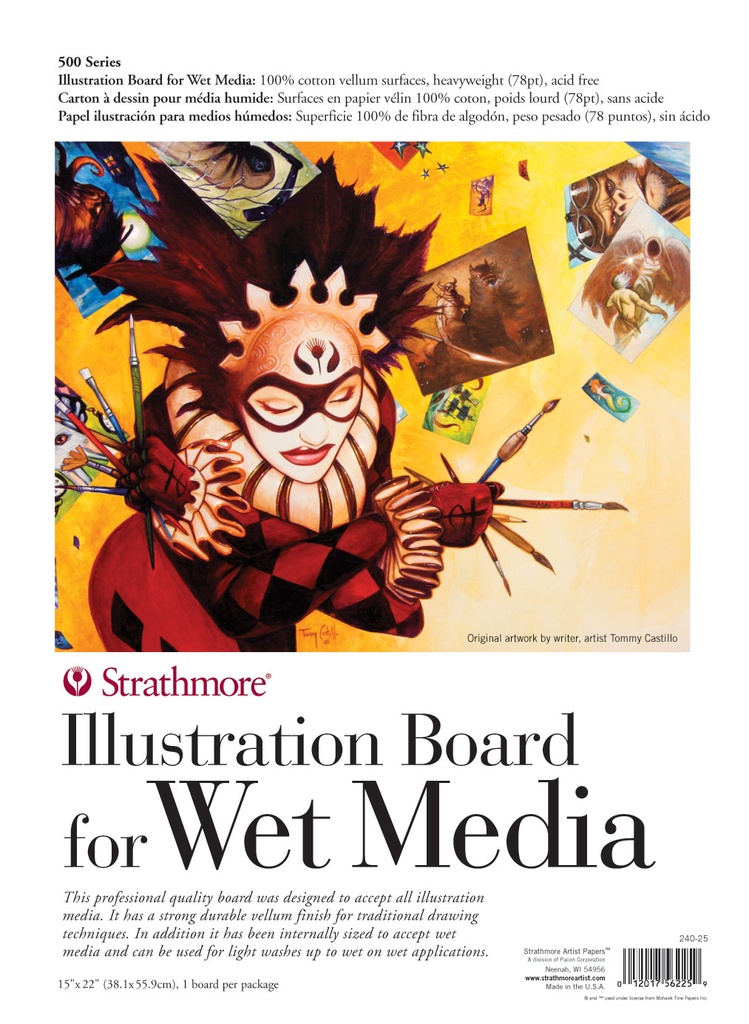 Strathmore 500 Illustration Board Wet Media 22" x 30"