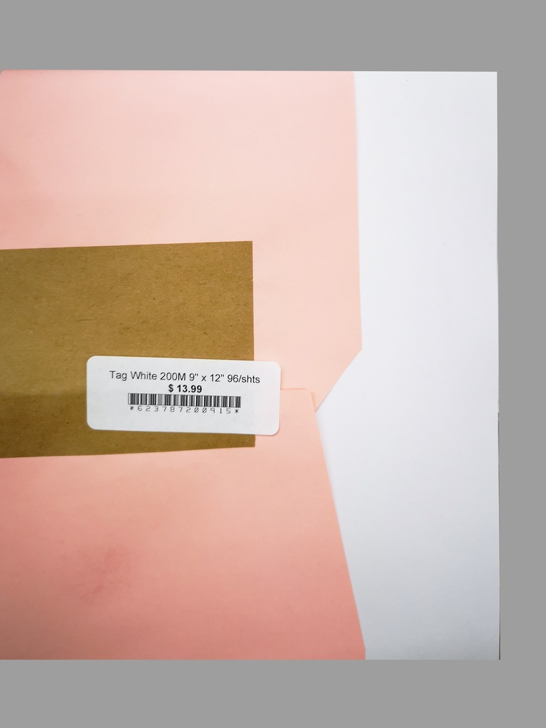 Tag White 200M 9" x 12" 96/shts