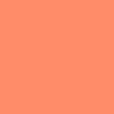 Tombow Dual Brush Pen 873 - Coral **ND**