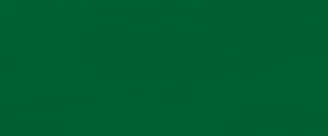 Holbein Acryla Gouache Deep Green D063 20ml