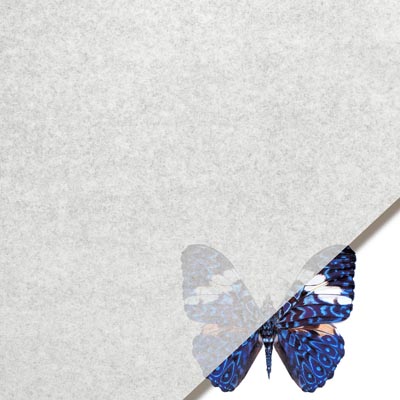 Archival Tissue 24" x 36" -16gsm - Non-Buffered - 100% high alpha cellulose