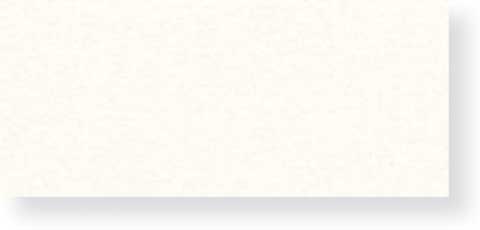 Canson Art Board 16" x 20" "C" A Grain Drawing