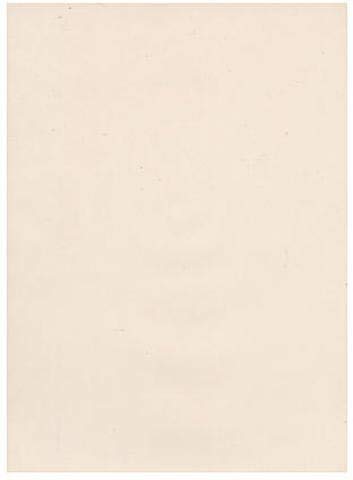 Canson Opalux 19x25 180g