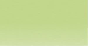 Derwent Coloursoft Pencil Lime Green C460