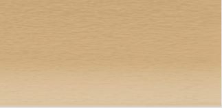 Derwent Coloursoft Pencil Pale Brown C530