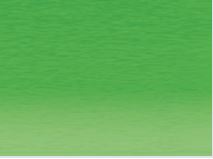 Derwent Coloursoft Pencil Pea Green C430