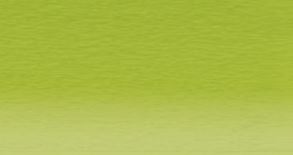 Derwent Coloursoft Pencil Yellow Green C450