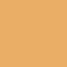 Derwent WC Pencil Burnt Yellow Ochre