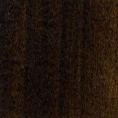 Holbein Artists Oil 20ml H822 Trans. Brown SB