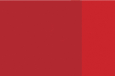 Holbein Artists Oil 40ml H207 Cad Red SE