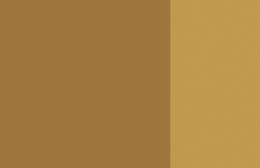 Holbein Artists Oil 40ml H240 Yellow Ochre SA