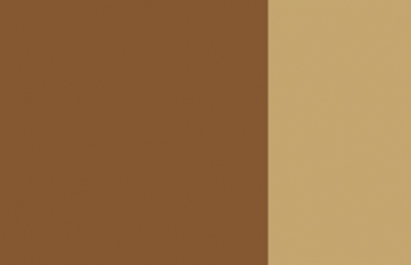 Holbein Artists Oil 40ml H241 Gold Ochre SA Disc