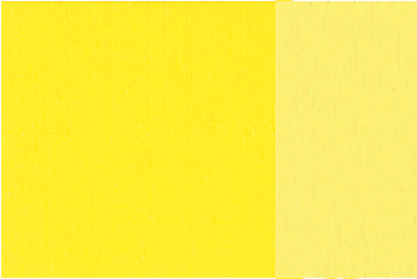 Holbein Artists Oil 40ml H249 Cad Yellow Lemon SD