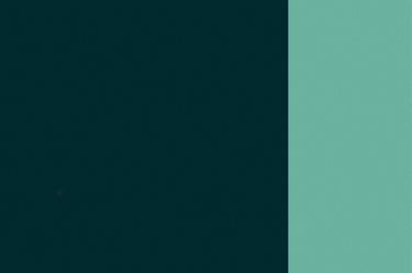 Holbein Artists Oil 40ml H270 Viridian SE