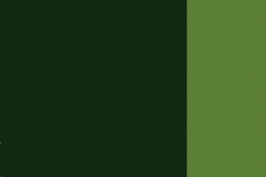 Holbein Artists Oil 40ml H276 Sap Green SB