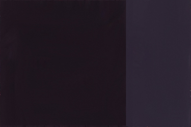 Holbein Artists Oil 40ml H356 Lamp Black SA