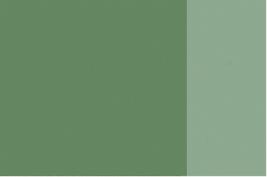 Holbein Artists Oil 40ml H372 Green Grey SA