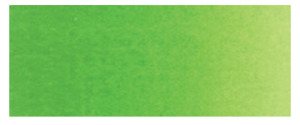 Holbein Watercolour Perm Green W066