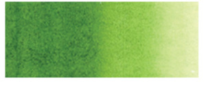 Holbein Watercolour Sap Green W075