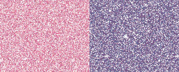 Jacquard Pearl Ex Duo Red-Blue .5oz