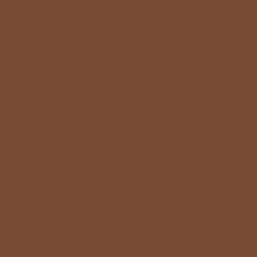Jacquard Procion Mx Dye Chocolate Brown 19g 119
