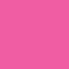 Jacquard Procion Mx Dye Hot Pink 19g 035