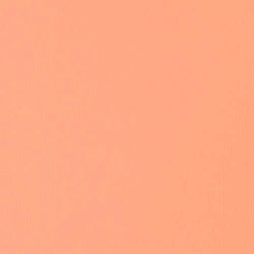 Liquitex Soft Body Acrylic 2oz. Jar Light Portrait Pink S1 **ND**