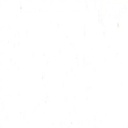 Holbein Acryla Gouache Titanium D151 20ml