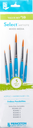 Princeton Brush Select Value Set #10 - 5 Piece Set