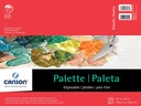 Canson Artist Series Palette Paper 40shts 12x16