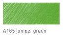 Faber Castell Pastel Pencil #165 Juniper Green
