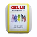 Gelli Arts Feather Printing Kit **ND**