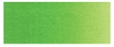 Holbein Watercolour Perm Green W066