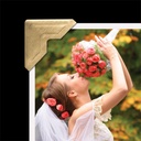 Lineco Self Adhesive Photo Corners Gold