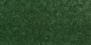 PanPastel Extra Dark Chromium Oxide Green Tint 1