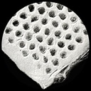 Paper Honeycomb - white **ND-SO**