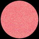 Paper Iridescent – Melon **ND-SO**